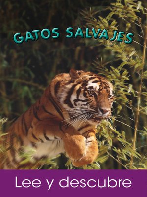 cover image of Gatos Salvajes